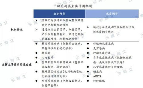 多能干细胞成药潜能突出，开创干细胞药物新纪元