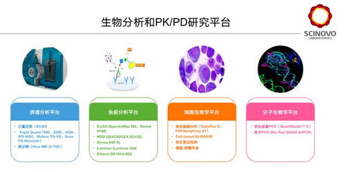 生物分析专栏 创新药物研发中生物标志物的生物分析策略——干细胞药物的关键实践
